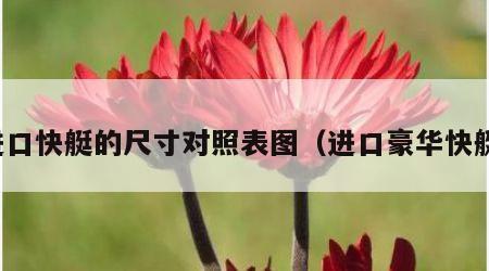 进口快艇的尺寸对照表图（进口豪华快艇）