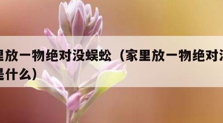 家里放一物绝对没蜈蚣（家里放一物绝对没蜈蚣是什么）