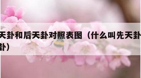 先天卦和后天卦对照表图（什么叫先天卦,后天卦）