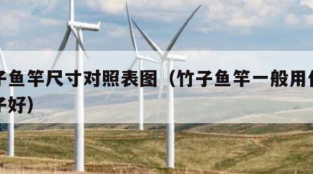竹子鱼竿尺寸对照表图（竹子鱼竿一般用什么竹子好）