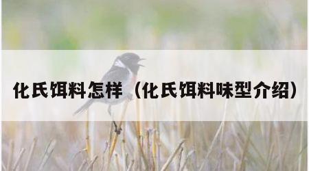 化氏饵料怎样（化氏饵料味型介绍）