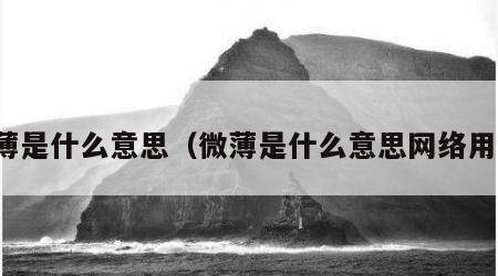 微薄是什么意思（微薄是什么意思网络用语）