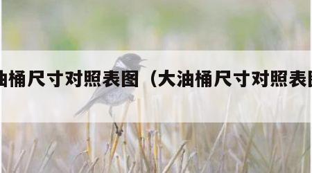 大油桶尺寸对照表图（大油桶尺寸对照表图片）