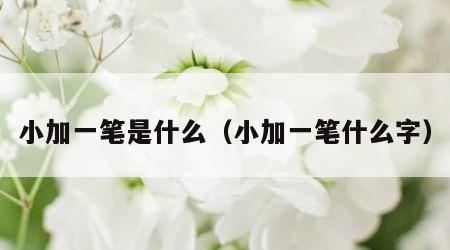 小加一笔是什么（小加一笔什么字）