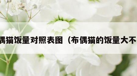 布偶猫饭量对照表图（布偶猫的饭量大不大）