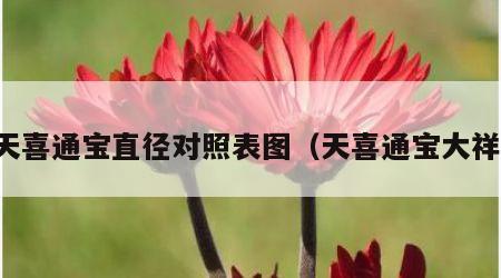 天喜通宝直径对照表图（天喜通宝大祥）
