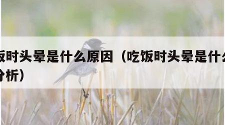 吃饭时头晕是什么原因（吃饭时头晕是什么原因分析）