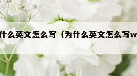 为什么英文怎么写（为什么英文怎么写why）