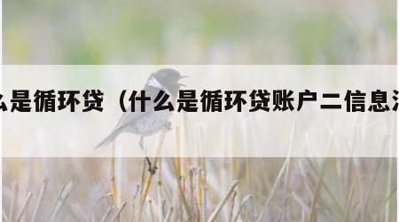 什么是循环贷（什么是循环贷账户二信息汇总）