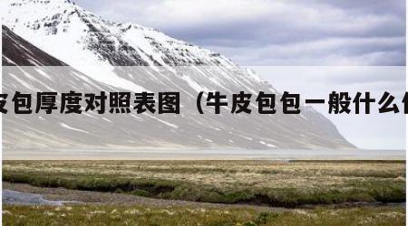 牛皮包厚度对照表图（牛皮包包一般什么价位）