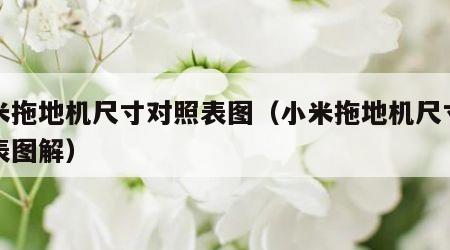 小米拖地机尺寸对照表图（小米拖地机尺寸对照表图解）