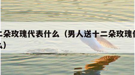 十二朵玫瑰代表什么（男人送十二朵玫瑰代表什么）