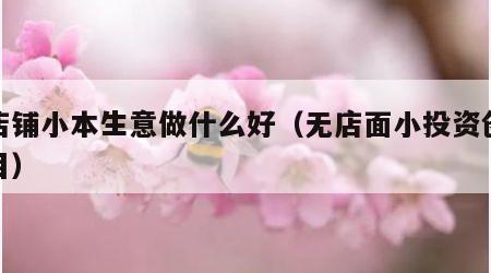 无店铺小本生意做什么好（无店面小投资创业项目）