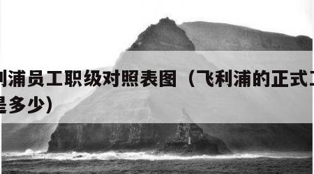 飞利浦员工职级对照表图（飞利浦的正式工工资是多少）