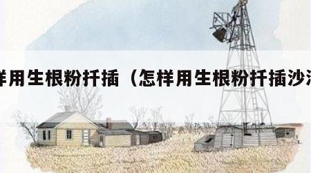 怎样用生根粉扦插（怎样用生根粉扦插沙漠玫瑰）