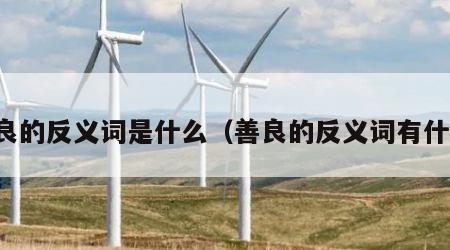 善良的反义词是什么（善良的反义词有什么）
