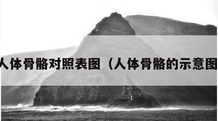 人体骨骼对照表图（人体骨骼的示意图）