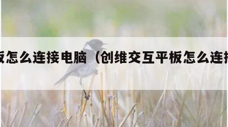 平板怎么连接电脑（创维交互平板怎么连接电脑）