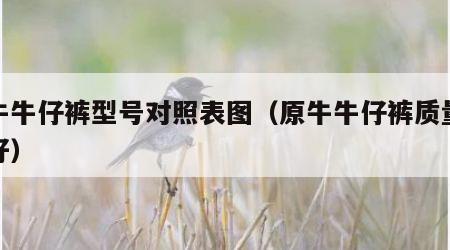 原牛牛仔裤型号对照表图（原牛牛仔裤质量好不好）
