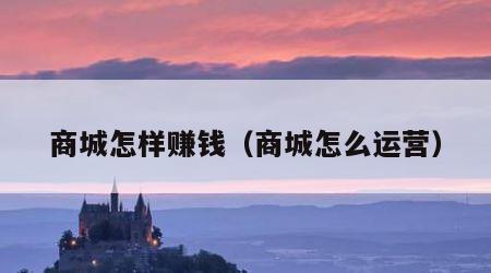 商城怎样赚钱（商城怎么运营）