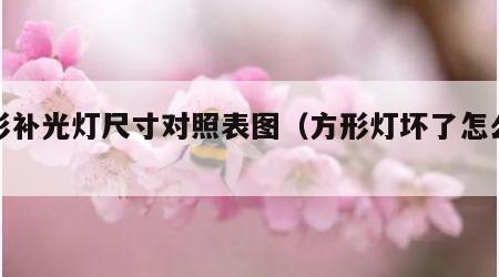 方形补光灯尺寸对照表图（方形灯坏了怎么修）
