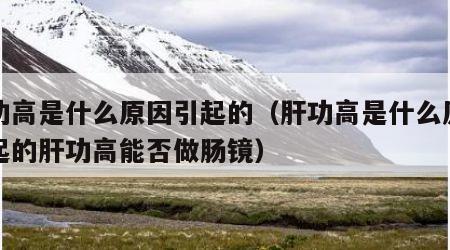 肝功高是什么原因引起的（肝功高是什么原因引起的肝功高能否做肠镜）