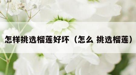 怎样挑选榴莲好坏（怎么 挑选榴莲）