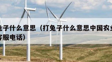 打兔子什么意思（打兔子什么意思中国农业银行客服电话）
