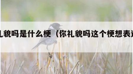 你礼貌吗是什么梗（你礼貌吗这个梗想表达什么）