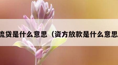 流贷是什么意思（资方放款是什么意思）