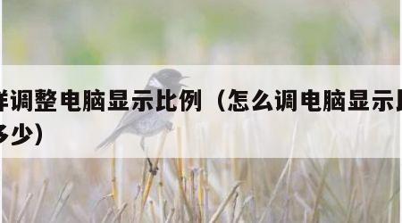 怎样调整电脑显示比例（怎么调电脑显示比例是多少）