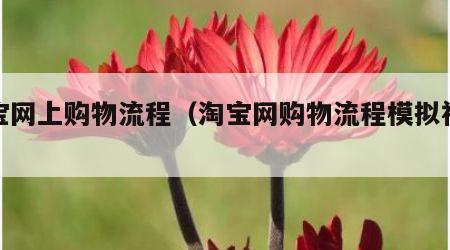 淘宝网上购物流程（淘宝网购物流程模拟视频）
