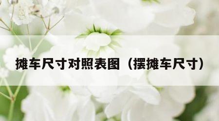 摊车尺寸对照表图（摆摊车尺寸）