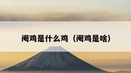 阉鸡是什么鸡（阉鸡是啥）