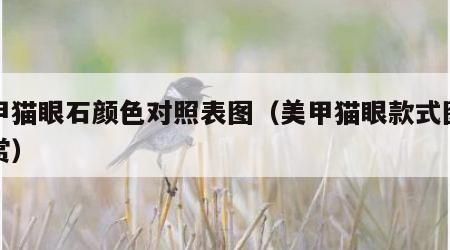 美甲猫眼石颜色对照表图（美甲猫眼款式图片欣赏）