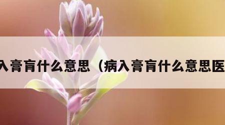 病入膏肓什么意思（病入膏肓什么意思医学）