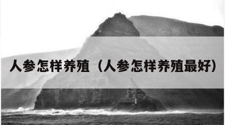 人参怎样养殖（人参怎样养殖最好）