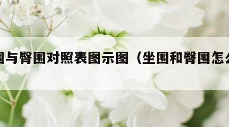 坐围与臀围对照表图示图（坐围和臀围怎么测量）