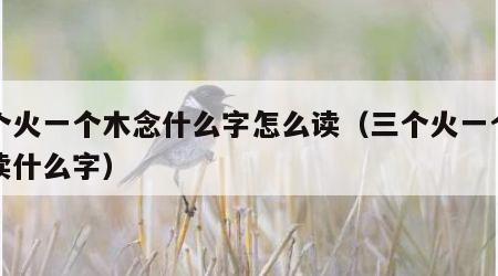 三个火一个木念什么字怎么读（三个火一个木是读什么字）