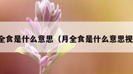 月全食是什么意思（月全食是什么意思视频）