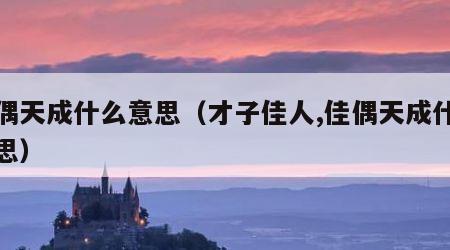 佳偶天成什么意思（才子佳人,佳偶天成什么意思）