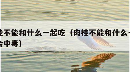 肉桂不能和什么一起吃（肉桂不能和什么一起吃会中毒）