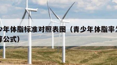 青少年体脂标准对照表图（青少年体脂率怎么计算公式）