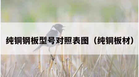 纯铜钢板型号对照表图（纯铜板材）