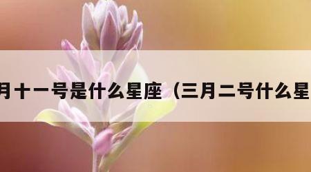 五月十一号是什么星座（三月二号什么星座）