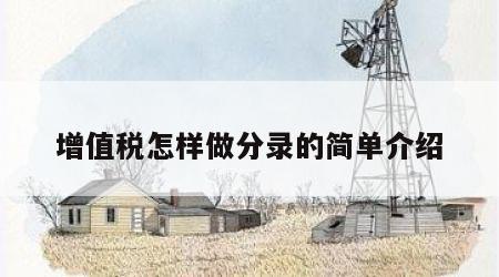 增值税怎样做分录的简单介绍