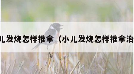 小儿发烧怎样推拿（小儿发烧怎样推拿治疗）