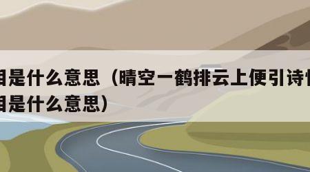 月相是什么意思（晴空一鹤排云上便引诗情到月相是什么意思）