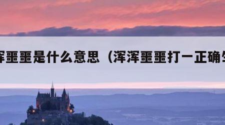 浑浑噩噩是什么意思（浑浑噩噩打一正确生肖）