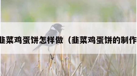 韭菜鸡蛋饼怎样做（韭菜鸡蛋饼的制作）